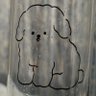アキトラ's profile picture