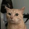Фото профиля Gatillo