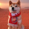 dogenal 的头像