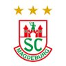 SC Magdeburg's profile picture