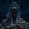 Profilbild von 🐺