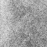 Xylem profil fotoğrafı