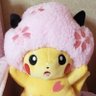 ゆみよ🌸 profil fotoğrafı