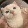 ã¿ã¿ profil fotoÄrafı