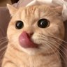 เล็ก's profile picture