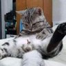 Nary. 的头像