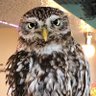 あべっち profil fotoğrafı