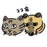 Profilbild von 🐾ココ🐾