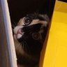 Michiel R.'s profile picture
