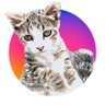 いこ's profile picture