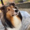 柊花とルーク's profile picture