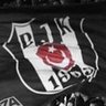 son kara kartal 的头像