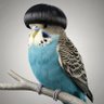 Richard Oliver's profile picture