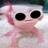 Ellabailasola's profile picture