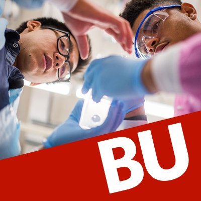 BU Experts's profile picture