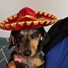 Profilbild von Javier Perez