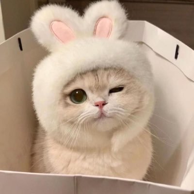น้องหนาว 🧊🤍 ตรัง's profile picture