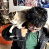 meowy 的头像