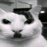 retrasadito_con_aspiraciones's profile picture