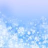 四季折々の雪の花 profil fotoğrafı