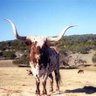 Фото профиля Texas Sands