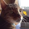かっとびさん。 profil fotoğrafı