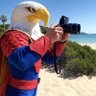 Eagle Eye's profile picture
