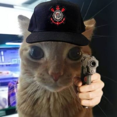 CamilizerSCCP's profile picture