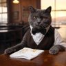 Bartender's profile picture
