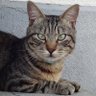 寅松 profil fotoğrafı