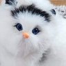 Özgür düşünce's profile picture