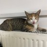 yitikbiri profil fotoğrafı