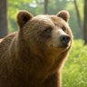 Teddy profil fotoğrafı