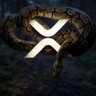 XRP Snakie.XRP 🐍 的头像