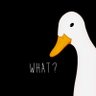 Profilbild von Lucky Duckling