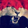 Mahmoud Ibrahim's profile picture