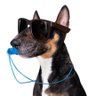 Profilbild von Nathan Brittles