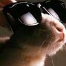 Profilbild von Schnubele on the NET