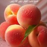 Malak khan 的头像