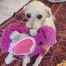 Profilbild von Junie