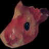 Profilbild von Hampter