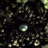 Фото профиля Hermaeus Mora