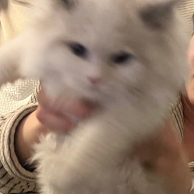 LuCkyKanYE's profile picture