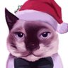 ngrr's profile picture