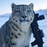 jajcatsc (J-Cat) 的头像