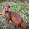 Oorni's profile picture