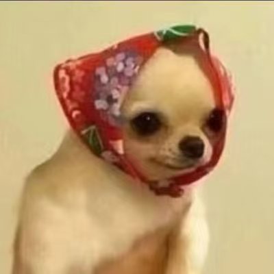 kirklanqi's profile picture