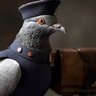 Bihaber's profile picture
