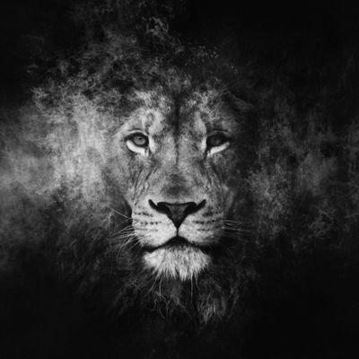 AliZarrar222's profile picture