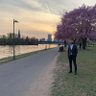Ibrahim A. Rhaman profil fotoğrafı